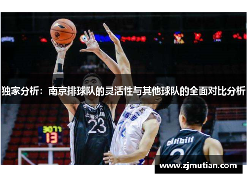 独家分析：南京排球队的灵活性与其他球队的全面对比分析