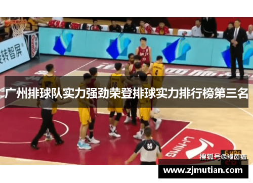 广州排球队实力强劲荣登排球实力排行榜第三名