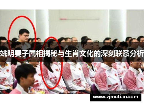 姚明妻子属相揭秘与生肖文化的深刻联系分析