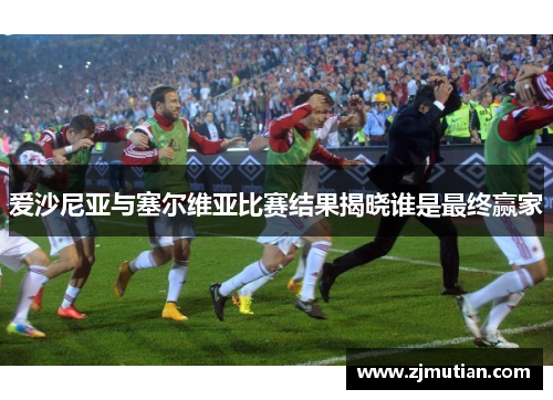 爱沙尼亚与塞尔维亚比赛结果揭晓谁是最终赢家